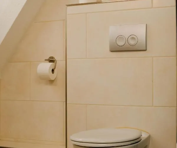 Sauerwald בסטוויג